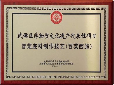 武侯区非物质文化遗产代表性项目